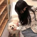 灵魂撕裂小米版下载